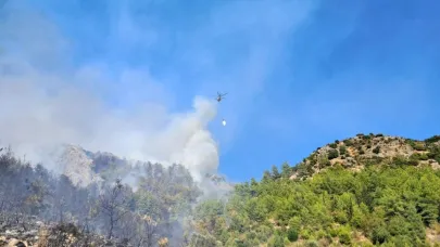 Serik'teki orman yangınına ilişkin 1 gözaltı