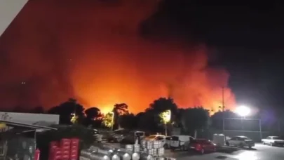 Antalya Aksu’da ormanlık alanda yangın