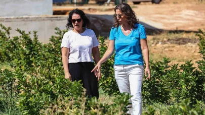 Antalya’da aronya ve böğürtlen hasadı bereketi