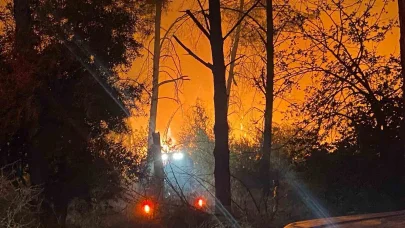 Antalya’da ormanlık alanda yangın