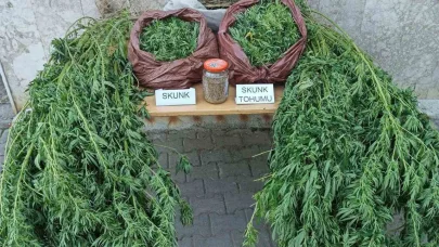 Korkuteli’nde 11,5 kilo skunk ele geçirildi