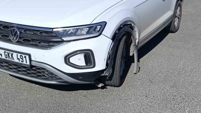 Otomobilin çarptığı köpek telef oldu