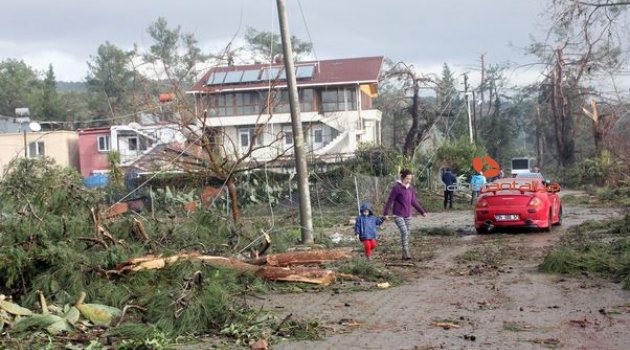 70 tavuktan bir tek o telef olmadı