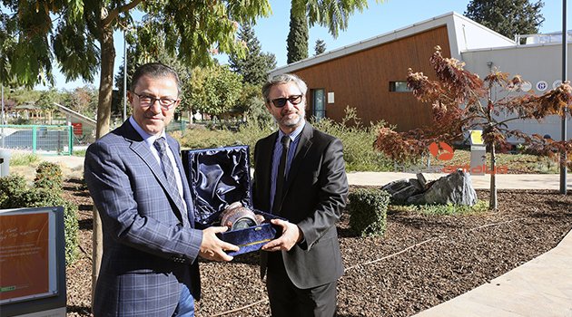 AB'den Türkiye'ye zeytin dalı