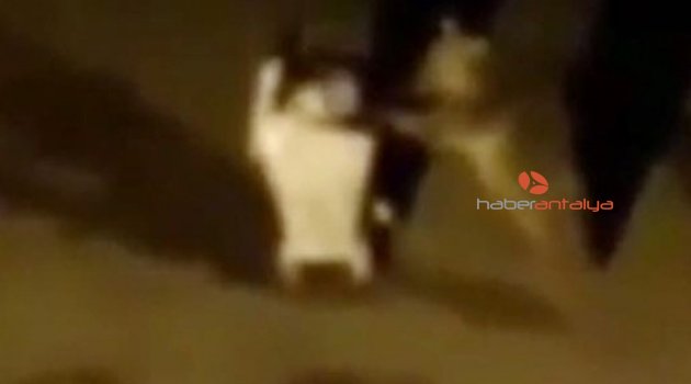 Aç kalan yavru ayı çöp konteynerini aldı gitti