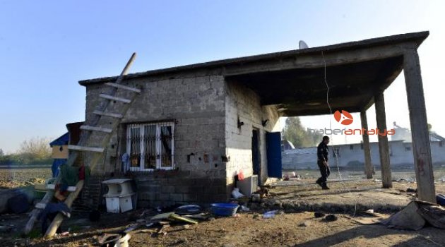 Adana&#039;da kesime hazırlanan 50 at ve eşek ele geçirildi