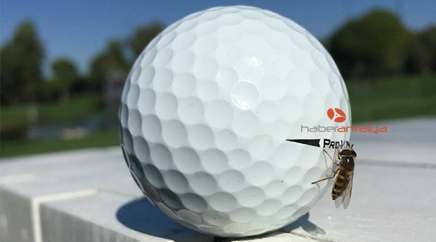 Ahmet Ağaoğlu: "Golf, dünyayı yönetenlerin sporu"