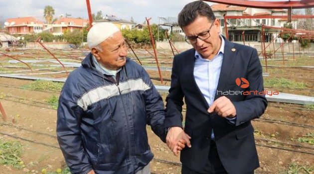 AK Partili Uslu: Çiftçimiz tesislerini ve ürünlerini mutlaka TARSİM yaptırmalı
