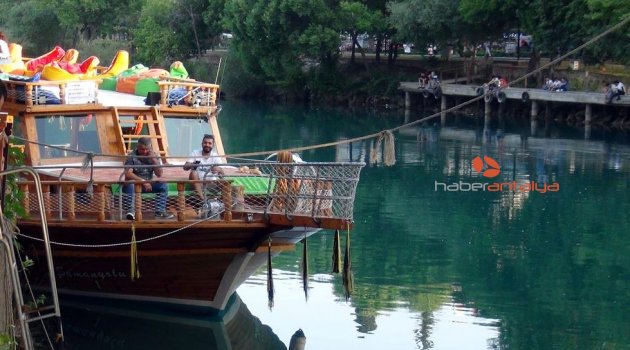 Akdeniz foku, Manavgat ırmağında