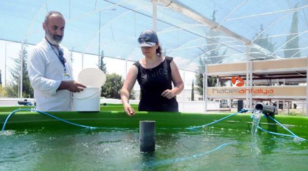 Akdeniz Üniversitesi'nden Çevreyle Dost Proje