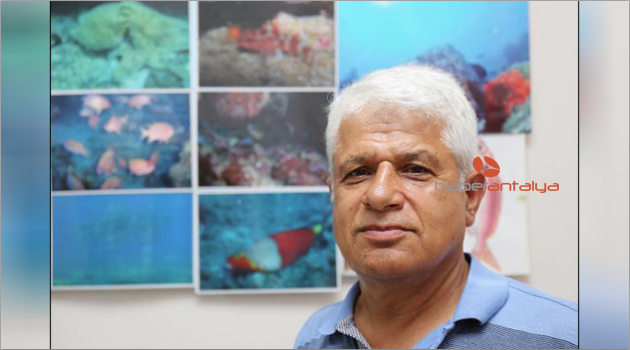 Akdeniz'i 'işgal eden' balık türü 63'e çıktı