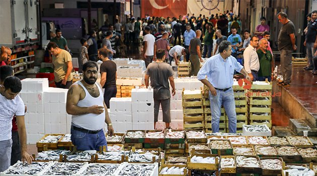 Akdenizli balıkçılar sezonu davul zurnayla açtı