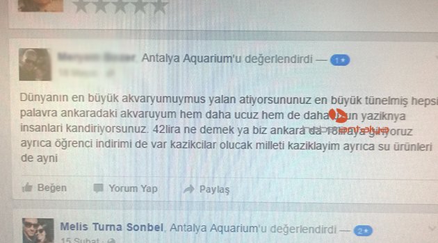 AKVARYUM GİBİ FİYATLAR DA DEV