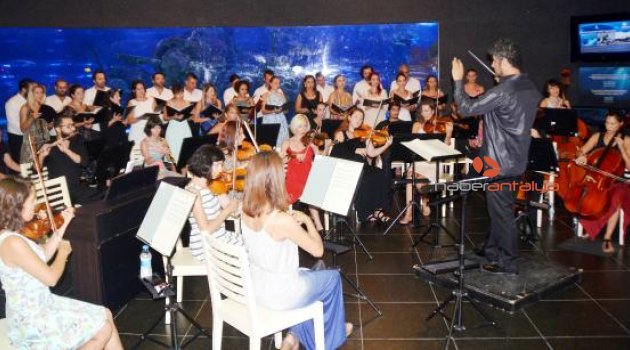 Akvaryum'da opera konseri