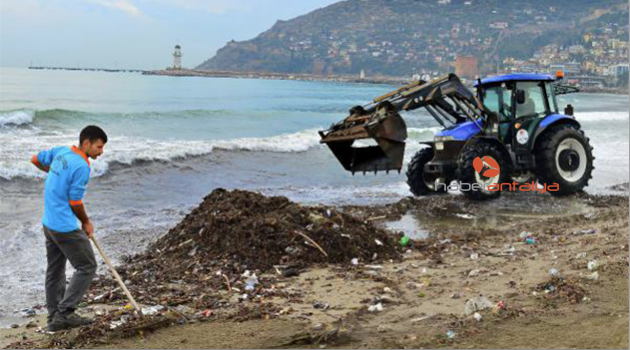 Alanya Belediyesi'nden sahil temizliği