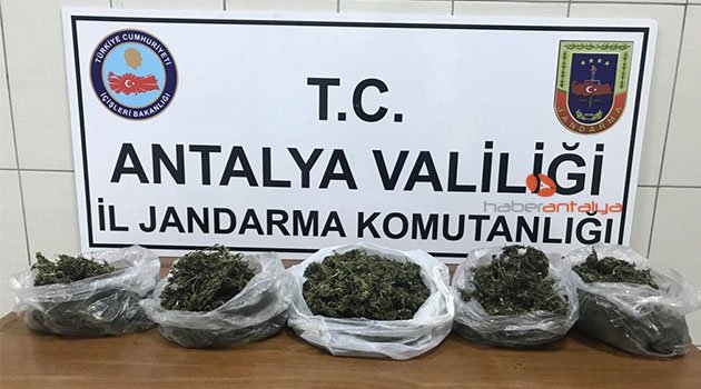 Alanya’da 2 kilo esrar ele geçirildi