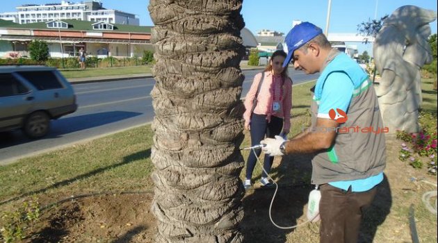 Alanya’da biyolojik mücadele