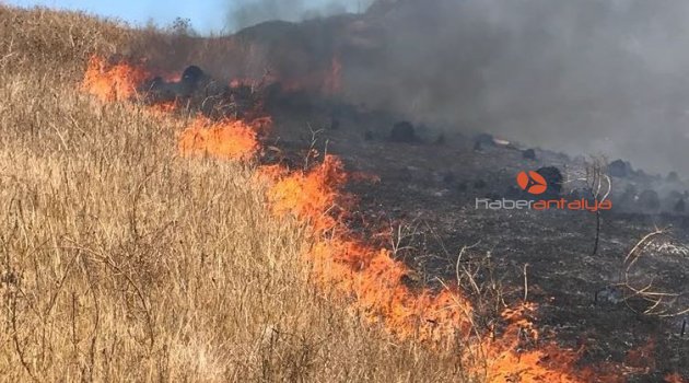 Alanya’da otluk alanda yangın çıktı