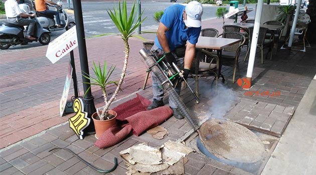 Alanya’da sinekle mücadele hız kesmiyor