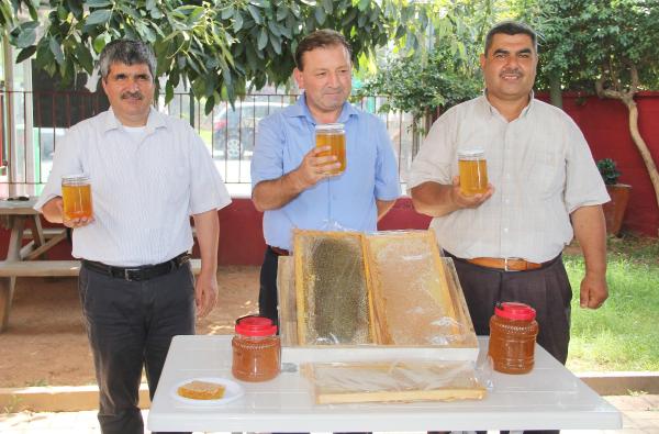 ALANYA'DA BAL ÜRETİMİNDE DÜŞÜŞ BEKLENİYOR