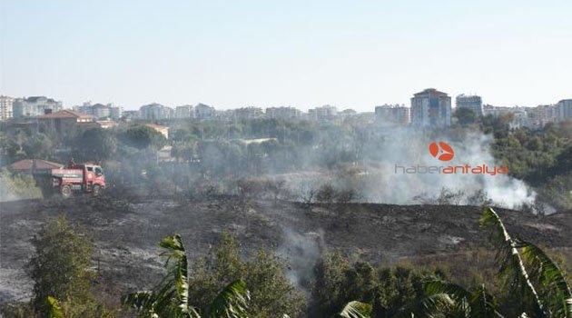 Alanya'da çalılık yangını
