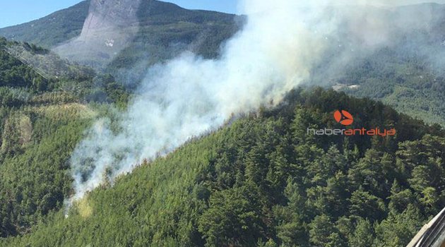 ALANYA'DA ORMAN YANGINI