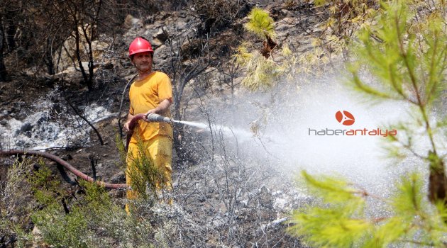 ALANYA'DA YANGIN KORKUTTU