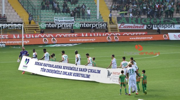 Alanyaspor sokak hayvanlarına ‘sahadan’ destek verdi