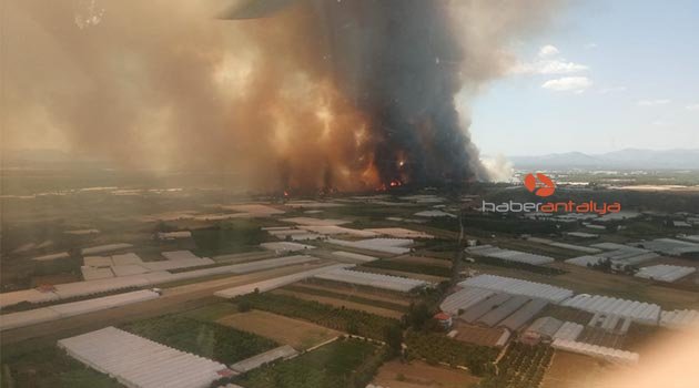 Antalya Aksu'da orman yangını
