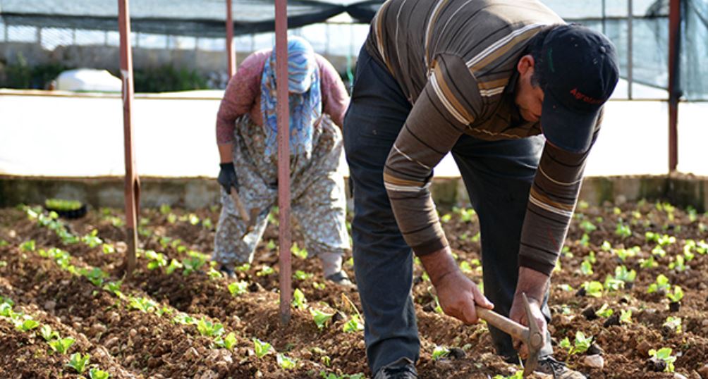 Antalya Büyükşehir Belediyesinden tarıma büyük destek