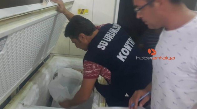 Antalya’da av yasağı bulunan Orfoz ve Lagos denetimi