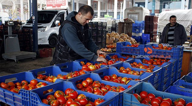 ANTALYA’DA ÇİFTÇİ RUS PAZARININ AÇILMASINI BEKLİYOR
