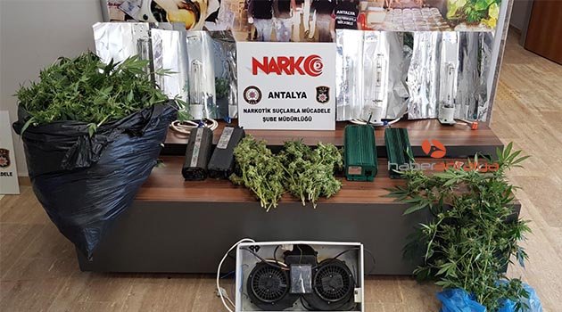 Antalya’da esrar maddesi ve hint keneviri ele geçirildi