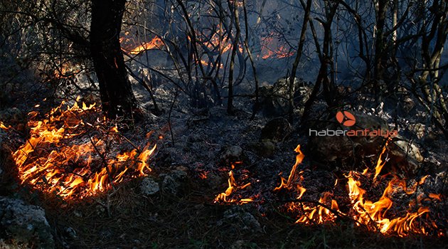 ANTALYA’DA KORKUTAN ORMAN YANGINI