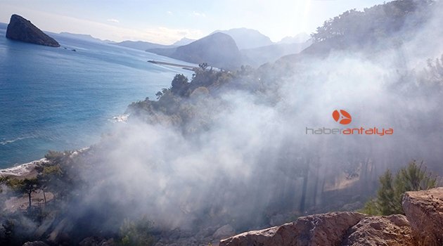 ANTALYA’DA ORMAN YANGINI