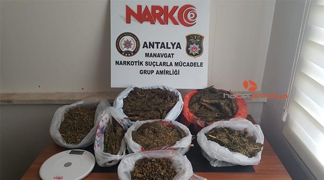 Antalya’da uyuşturucu operasyonu: 1 tutuklama