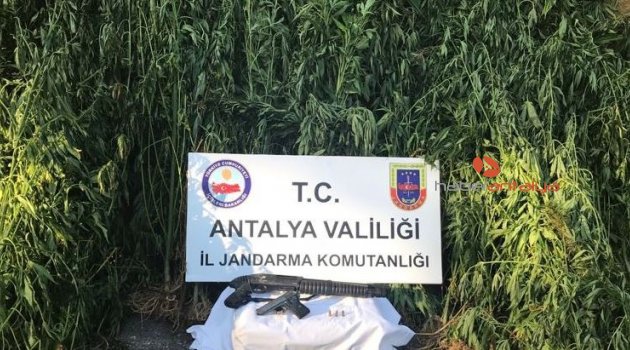 Antalya’da uyuşturucu operasyonuna 17 tutuklama