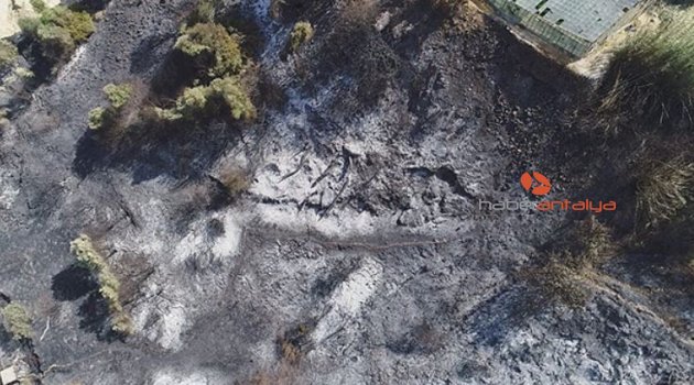 Antalya’da yangının ardından ürküten manzara