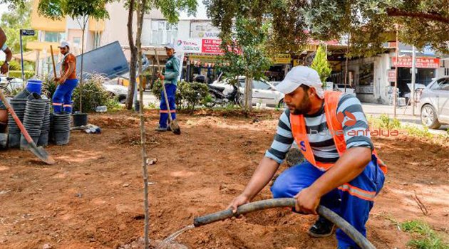 Antalya turunç çiçeği kokacak