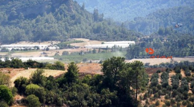 Antalya'da 150 hektarlık ormanlık alan yandı