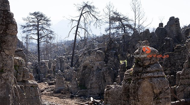 Antalya'da 226 orman yangınında 2 bin hektar zarar gördü