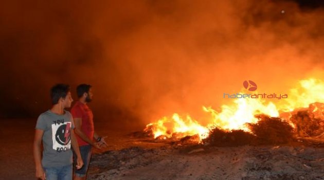 Antalya'da 'atık' yangını