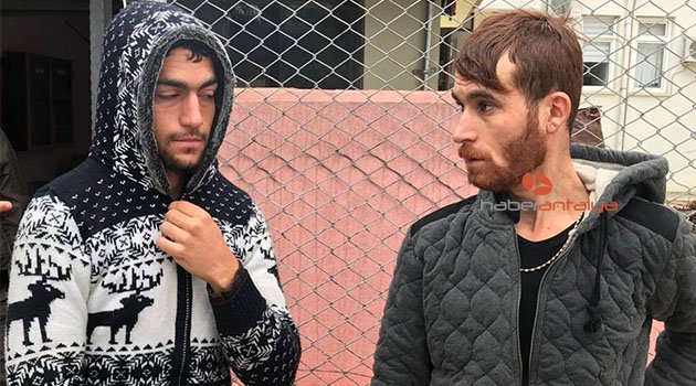 Antalya'da avokado hırsızları tutuklandı