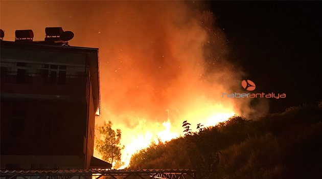 Antalya'da aynı gece 5 ayrı orman yangını