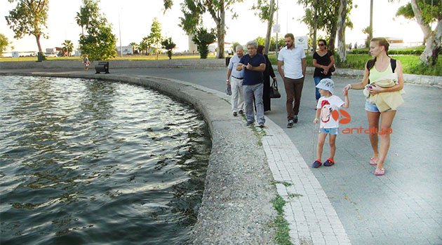 Antalya'da balıklar neden ölüyor?