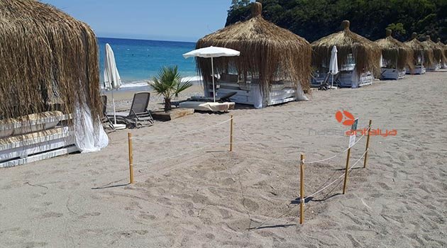 Antalya'da beş yıldızlı caretta caretta yuvaları