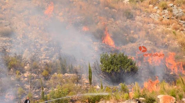 Antalya'da dağlık alanda yangın