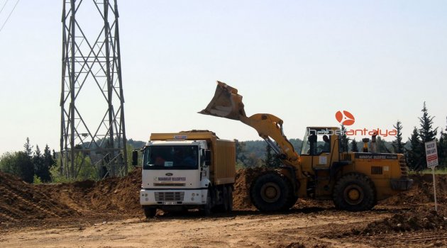 Antalya'da doğa katliamına belediye neşteri