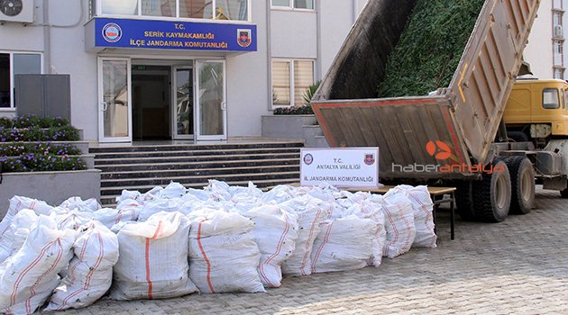  Antalya'da 'drone'lu uyuşturucu operasyonu