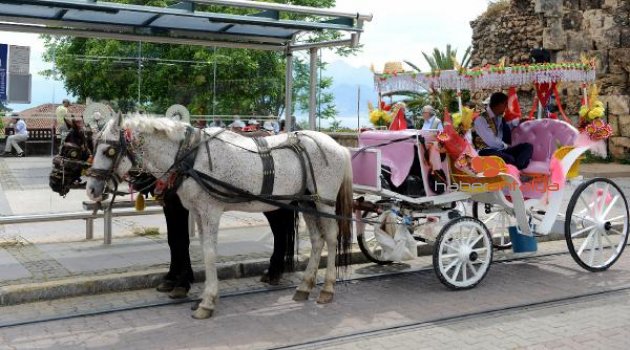 Antalya'da 'faytonlar kaldırılsın' kampanyası